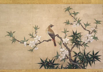 Vogel op perzikbloesem, ca. 1550-60